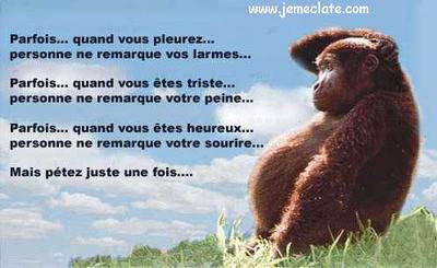 Le beau poeme émouvant